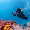 Sublue H1 Smart Waterproof Phone Case