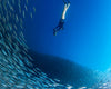 Sublue Navbow Underwater Scooter