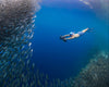 Sublue Navbow Underwater Scooter
