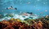 Sublue MixPro Underwater Scooter
