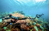 Sublue MixPro Underwater Scooter