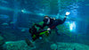 Sublue Navbow / Navbow+ Photographic Base Plate