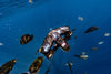 Sublue Navbow+ Underwater Scooter