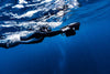 Sublue Navbow+ Underwater Scooter