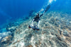 Sublue Navbow+ Underwater Scooter