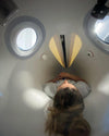 OxyNova® 5 Professional Mild-Pressure Hyperbaric Therapy (mHBOT) Chamber