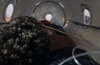 OxyNova® 7 Professional Mild-Pressure Hyperbaric Therapy (mHBOT) Chamber